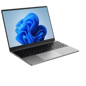 15.6″ Business Laptop 16GB RAM 512GB 1TB SSD Intel Celeron N5095 Windows 11 for Office Student Gaming