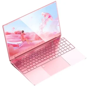 15.6 INCH *1080 Intel N95 11th Gen Personal and Domestic Computer DDR4 8G 16G 32GB 256GB 512GB 1TB SSD Win 11 Pink Laptop