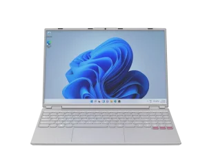 15.6 Inch Gaming Laptop DDR4 16GB RAM 256GB SSD Dual SSD Slot Intel Processor