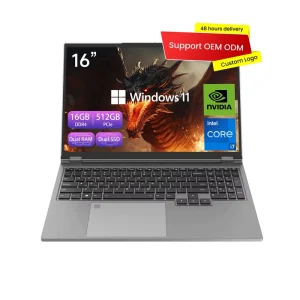 16.1 Inch GDDR5 Gaming Laptop Intel I7 8750H GTX 1050 3GB Win 11 Pro SSD 16 10 Display Custom Logo OEM US UK Office Business Use