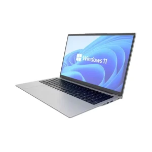 17.3-inch Gaming and Business Laptop Computer