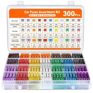 300PCS Car Fuse Assortment Kit DS6 Series Zinc Boxed Small Medium Mini Fuses