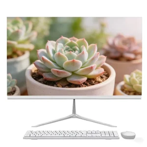 Bulk Buy 24 Inch Screen School Lab Training Computer Win10 11 Computer 8 16 32GB RAM 256GB SSD Desktop All in One PC