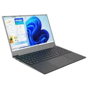Factory Customized Brand 15.6 Inch Portable Laptop Computer CPU N5095 Processor 256GB Business & Gaming Series Laptop