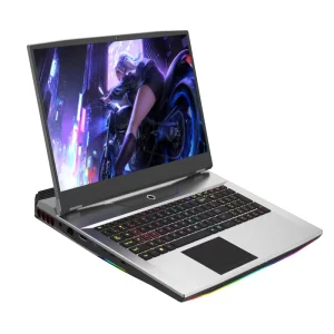 Gaming Laptop 17.3 Inch Screen I9 64Gb Ram 4Tb Ssd Notebook Intel Core I9 10885H Laptops Gtx1650 4Gb Graphics Card for Design