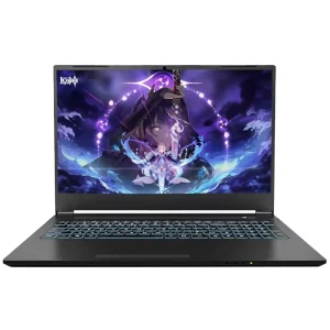 Gaming Laptops Computer 13th Gen 13620H 16.1″inch HD 32GB RAM 1TB SSD Ge Force RTX3060 6G Graphics Brand New I7 Notebook Pc