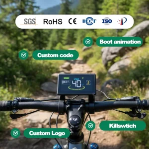 H6C Electric Bicycle Computer with Lcd Display Meter 24V 36V 48V 60V E Scooter Panel Color Screen Including Usb Uart 2