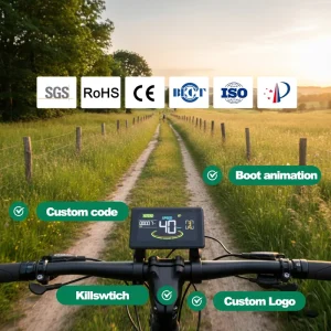 H6C Manufacturer Smart Bicycle Computer Screen Electronic Display Monitor for E-Bikes