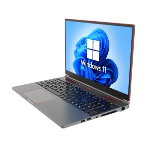 High Performance 16.1″ Gaming Laptop Intel Core I9 10885H 8 Core 5.3GHz GTX 1650Ti 4GB GPU 144Hz IPS Screen Workstation PC