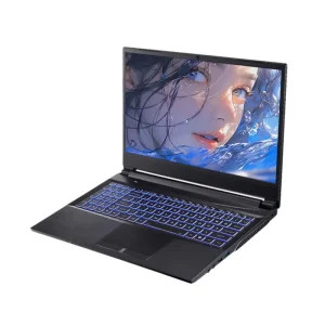 High Quality 15.6 Inch Laptop I7 11800H 4.6 GHZ RTX 3060 Computer Gaming IPS Panel Aluminum Alloy Case Gaming Laptop