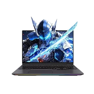 Mechanical Revolution Yaoshi 16 Ultra7 255HX RTX5070Ti Intel 20 Core 5.2GHz 300Hz SSD Gaming Laptop