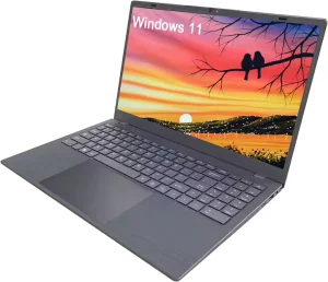 OEM 15.6inch Business Laptop N5095 16GB Ram Ddr4 512GB 128GB SSD Win11 Computer Laptop Notebook Computadora Portatil
