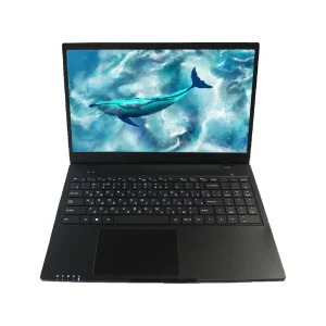 OEM Slim Portable Business Laptop 15.6″ with SSD 512GB Dual Core Processor TN Panel English Keyboard
