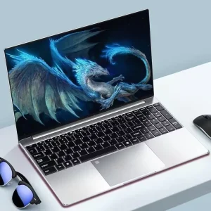 Youwide 15.6 Inch Slim Laptop Intel N200 512GB SSD 16GB RAM Wireless IPS Panel Windows 11 Pro Gaming Notebook in Stock